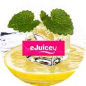 eJuicey Strong Spearmint E-Liquid 10ml